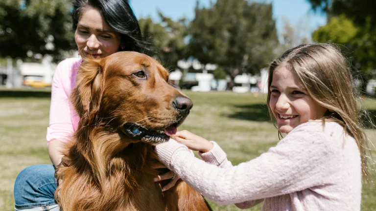 Cães Ideais para Famílias com Crianças
