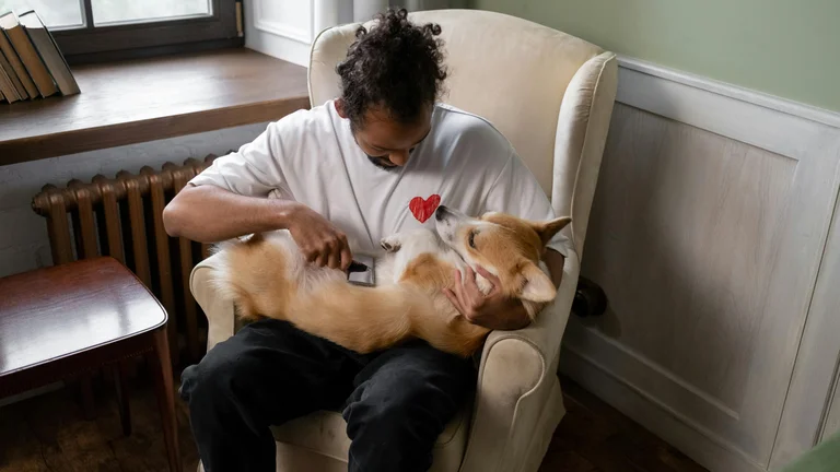Higiene Adequada para Pets: Saúde em Primeiro Lugar