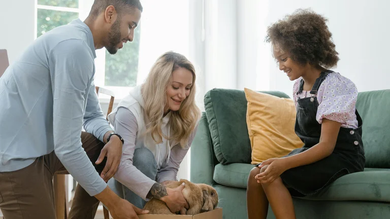 Como Escolher o Gato Ideal para Sua Família