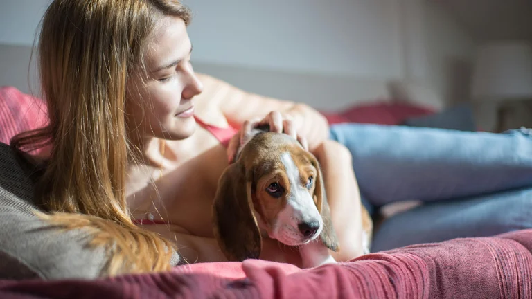 Benefícios de Escovas e Pentes para Pelos de Animais