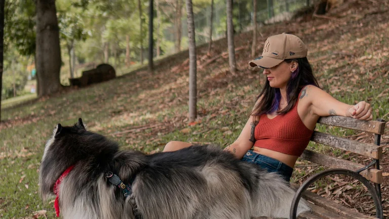 Dicas para Treinar seu Cachorro perto de Outros Animais