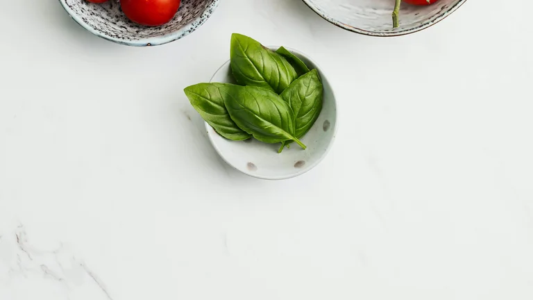 Produtos Inovadores para Alimentação de Pets