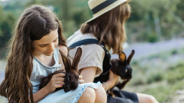 Raças de Coelhos e Seus Comportamentos Distintivos