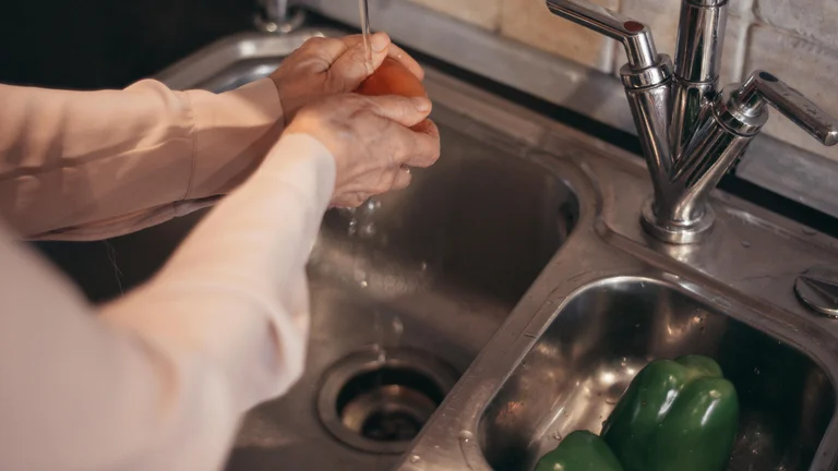 Cuidados Essenciais na Alimentação de Coelhos Domésticos