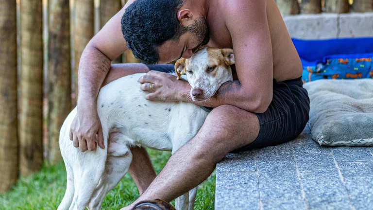Pets na Terapia: Histórias de Ajudas e Conexões