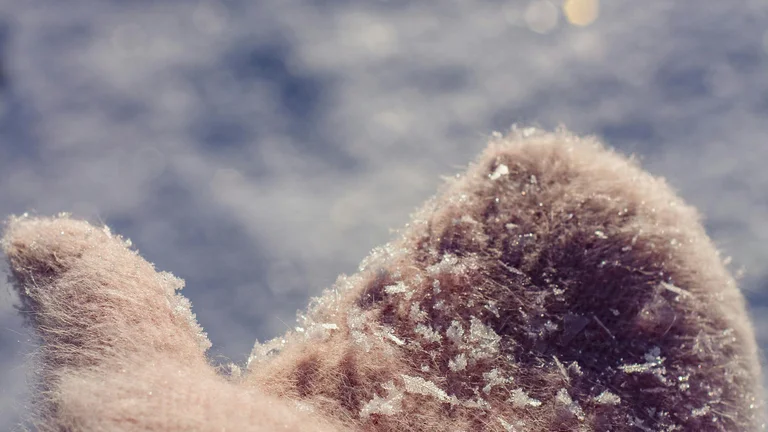 Acessórios Essenciais para Pets no Frio