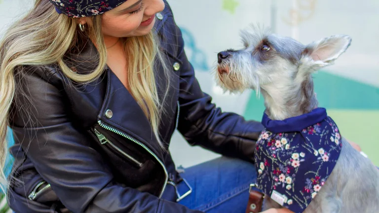 Acessórios Personalizados para Pets: Moda e Estilo Único