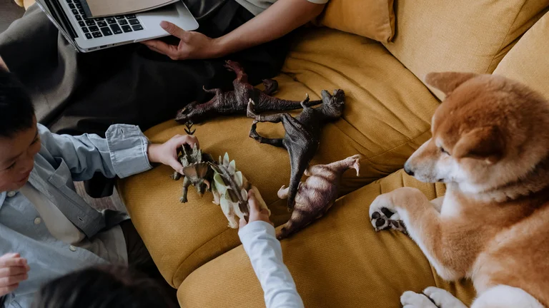Mantenha Seu Pet Ativo e Saudável em Casa