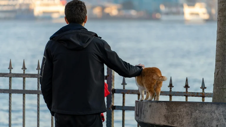 Pets e Lendas Urbanas: Histórias Que Intrigam