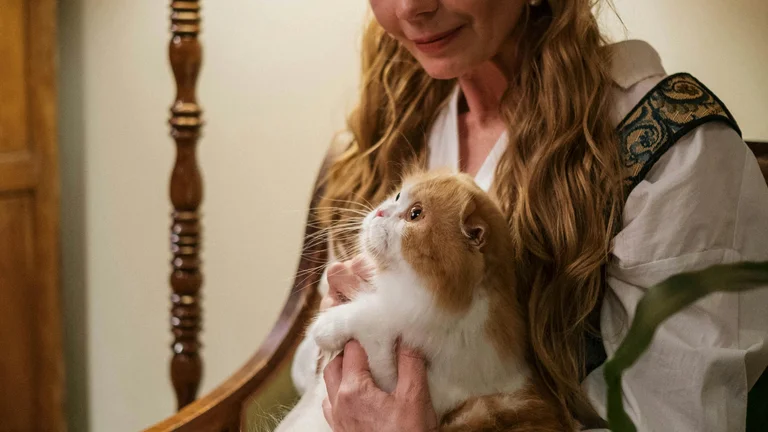A origem do ronronar dos gatos e seu efeito nos humanos